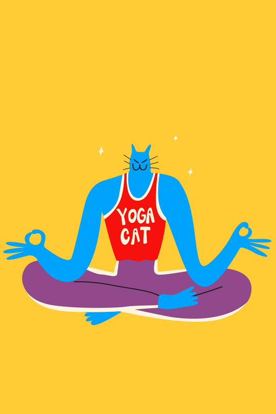 Was ist Yoga Cat?
