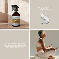 Thumbnail for Disinfectant Spray – Chandana Spirit - yogacat.com